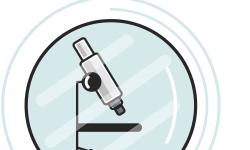 Featured image of post LAB